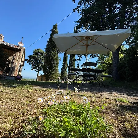 B&B Podere Cottimellino - Montalcino - Val D'Orcia-3